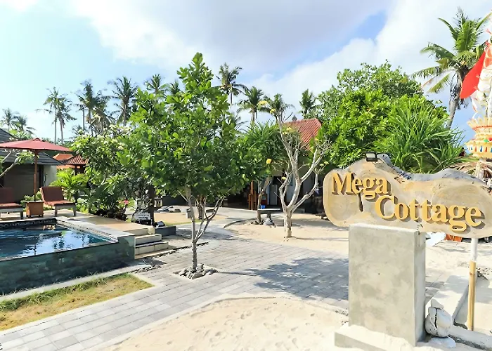 Mega 3*
